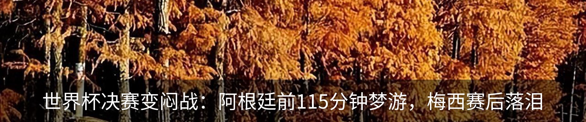 行业资讯
