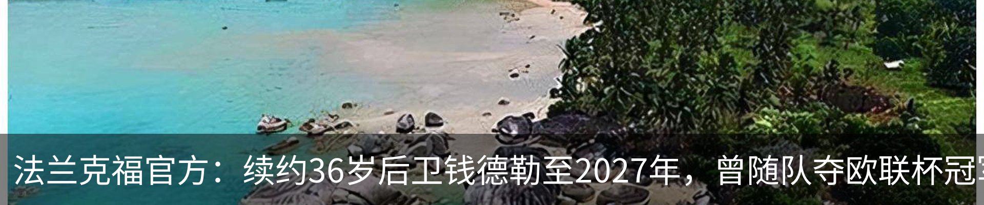 行业资讯