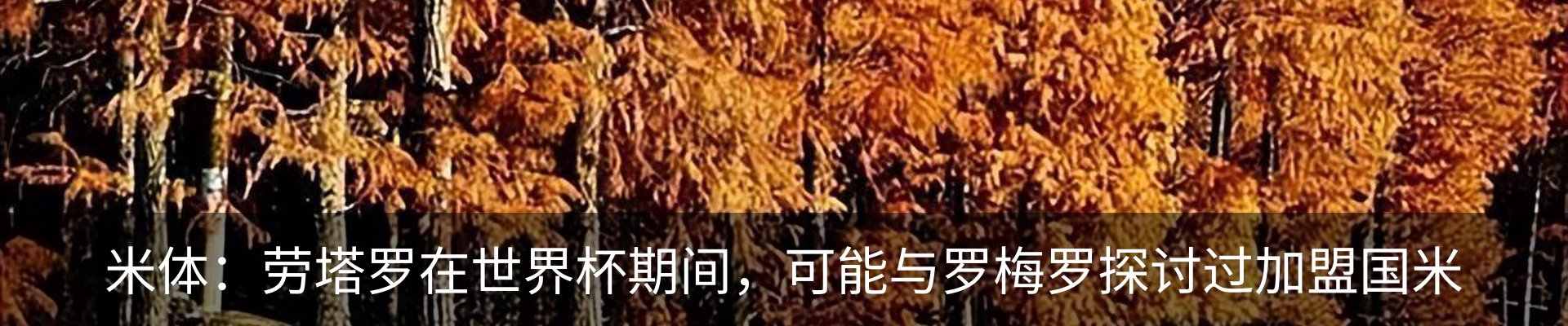 行业资讯