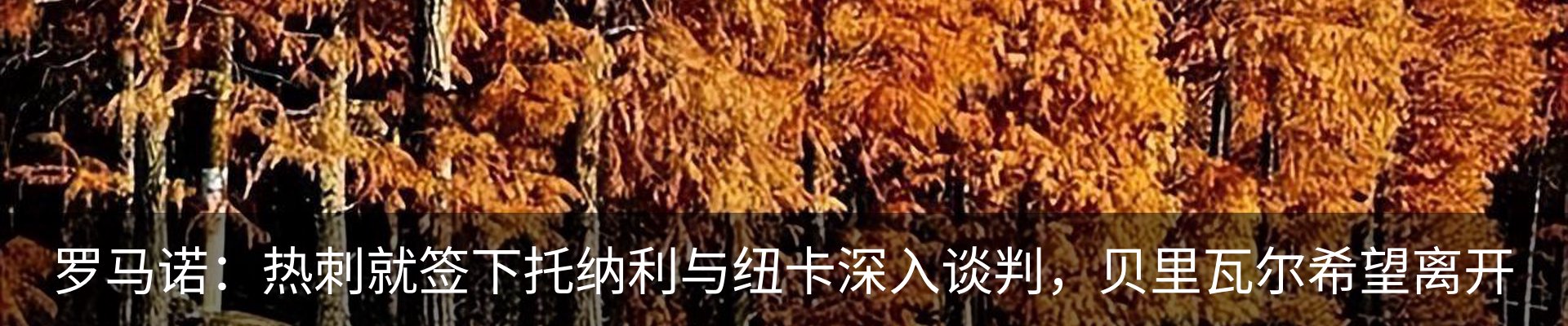 行业资讯