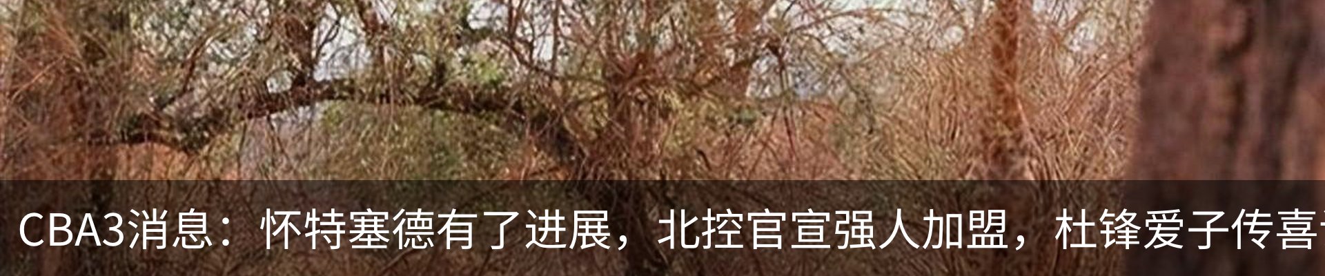 行业资讯