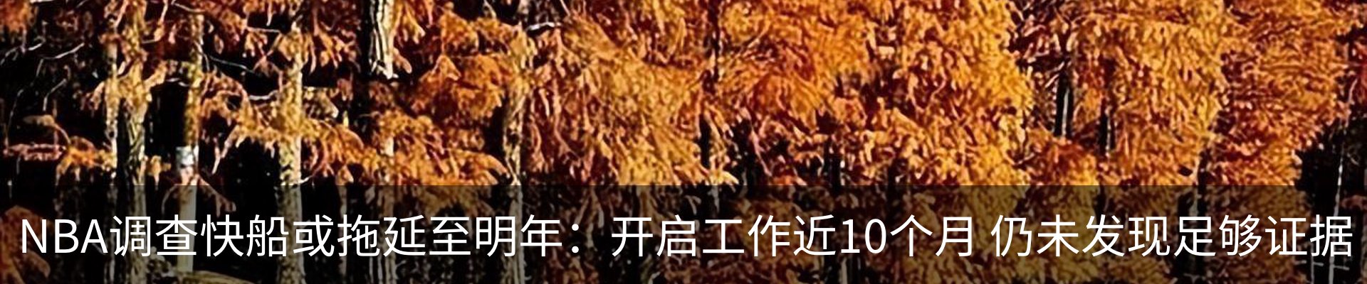 行业资讯